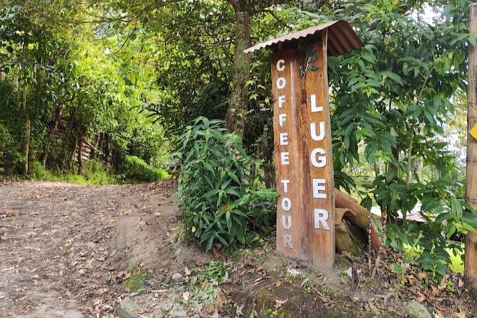 Private Tour of Salento Cocora Valley and Finca Luguer Coffee - Willys Jeep Tour: An Adventurous Ride