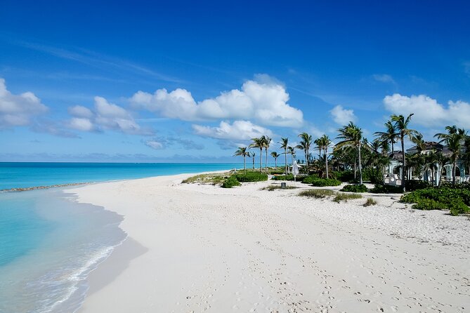 Private Tour Providenciales With Snorkeling and Iguana Island - Snorkeling Experience