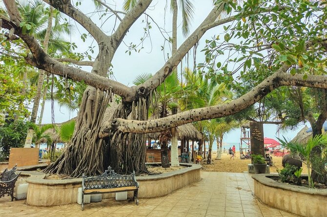 Private Tour, Sayulita & San Pancho - Pricing and Cancellation