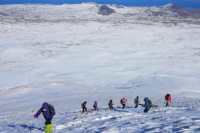 PRIVATE TOUR: Snow Activities and Tea Drinking in Lernanist - Snow Activities Package