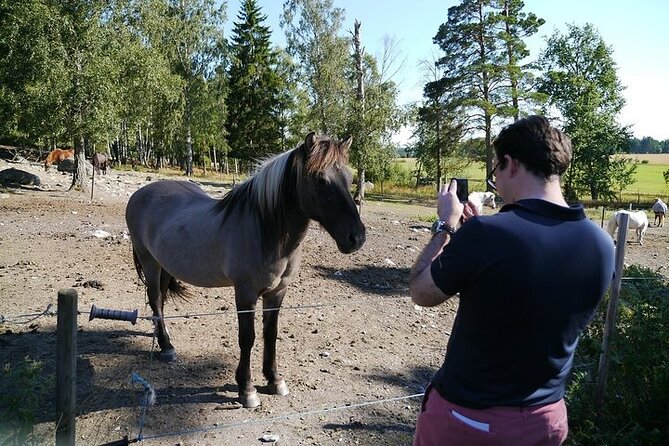 Private Tour: Swedish History Day Trip to World Heritage Candidate Markim-Orkesta From Stockholm - Historical Experience