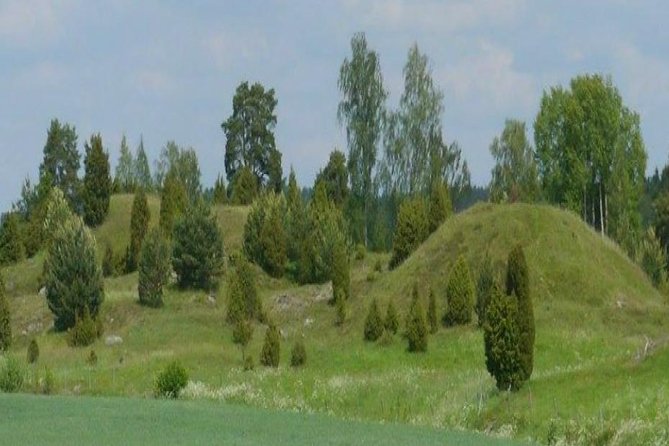 Private Tour: Swedish Iron Age Excursion From Stockholm 3h - Inclusions
