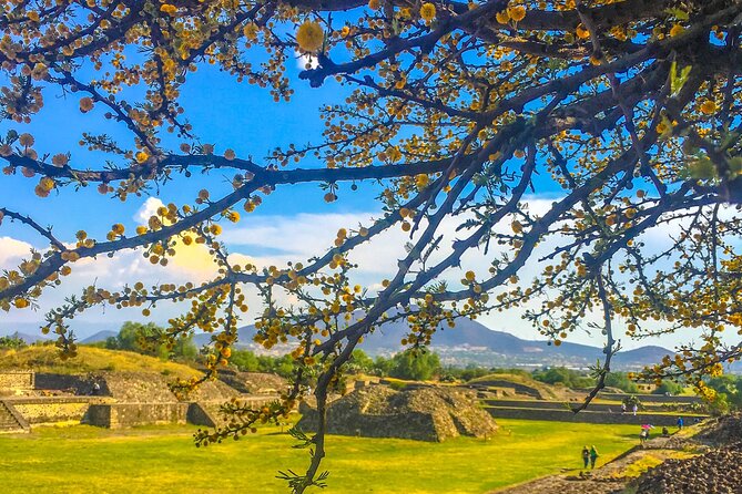 Private Tour Teotihuacan Pyramids and Guadalupe Shrine - Pickup Information