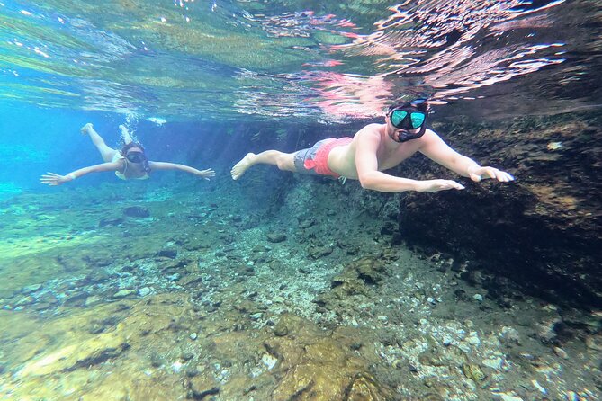 Private Tour The Best Cenotes in Tulum Riviera Maya - Cenote Experiences