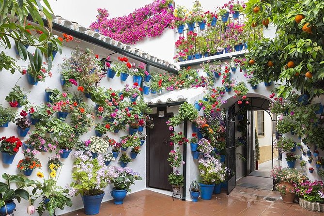 Private Tour: the Courtyards of Cordoba - Discovering the Jewish Quarter