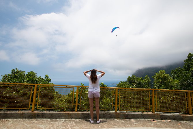Private Tour: Tijuca National Park With a Photographer - Exploring the Largest Urban Forest