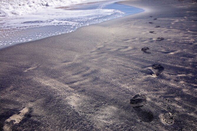 Private Tour to Black Sand Beach in The Southeast of Puerto Rico - Booking and Confirmation