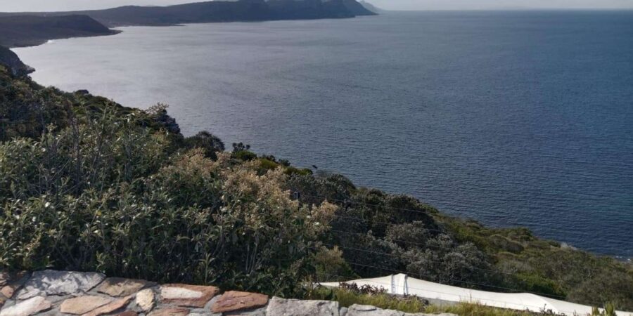 Private Tour to Discover Cape of Good Hope & Boulders Beach