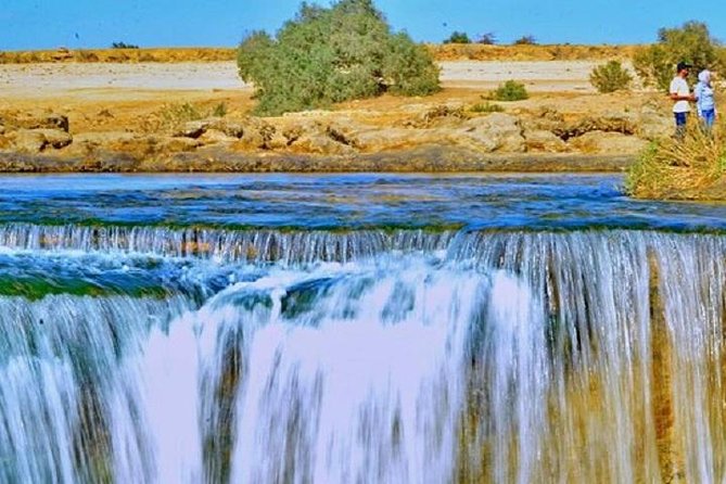 Private Tour to Fayoum Oasis, Valley of the Whales & Wadi Al Rian From Cairo. - Discovering the Valley of the Whales