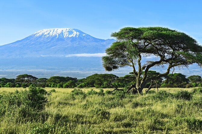 Private Tour to Marangu Waterfalls, Chagga Caves, Coffee Tour & Hot Springs - Chagga Caves Adventure
