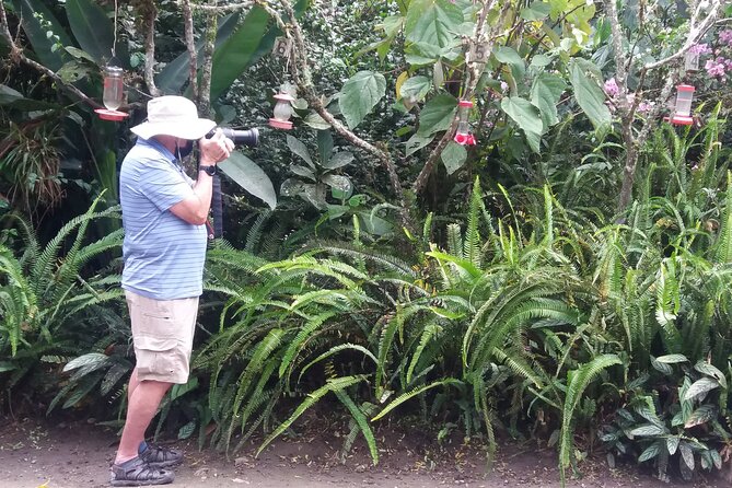 Private Tour to Mindo With Hummingbird Reserve, Tarabita and Butterfly Farm - Inclusions and Exclusions