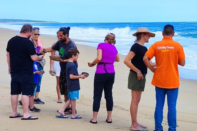 Private Tour to Release Turtles With Tickets Included - Meeting and Pickup