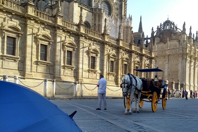 Private Tour to Sevilles Cathedral - Tour Highlights and Duration