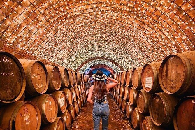 Private Tour to Tequila Unique Experience Price Groups of up to 4 - Traveler Information and Requirements