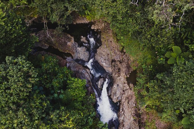 Private Tour to Waterfall in Puerto Rico - Pickup Information