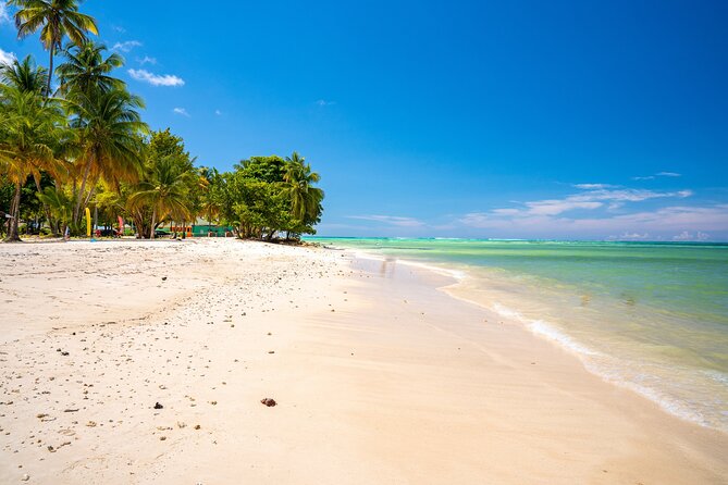 Private Tour Trinidad Northern Eco Cultural From Port of Spain - Cultural Immersion Activities