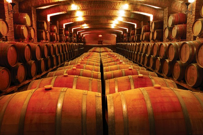 Private Tour: Undurraga Vineyard Experience With Premium Wine Tasting - Discovering Mapuche Heritage