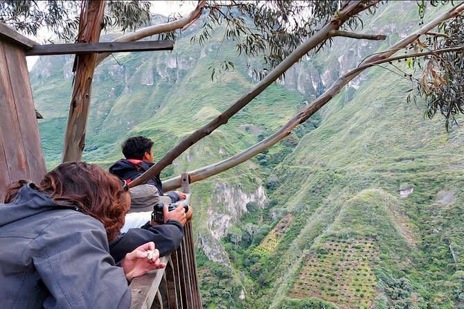 Private Tour Watching the Spectacled Bear - Highlights of the Tour