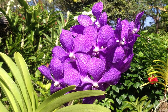 Private Tours - Key Attractions to Explore