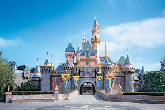 Private Transfer: Disneyland Park or Hotel to Paris by Luxury Van - Pickup and Drop-off Experience