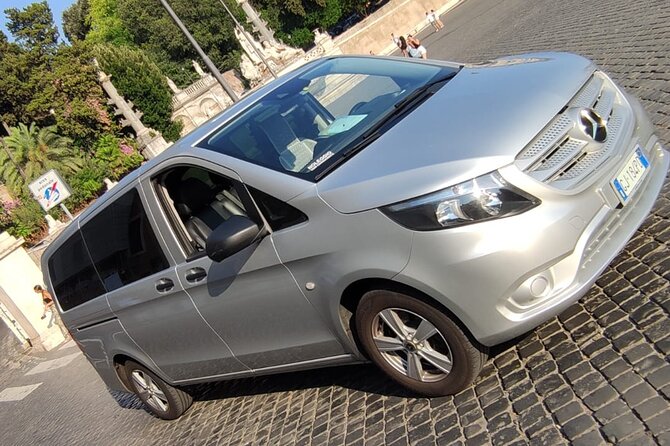 Private Transfer From Amalfi to Naples Airport ,Naples Station - Traveler Eligibility and Details
