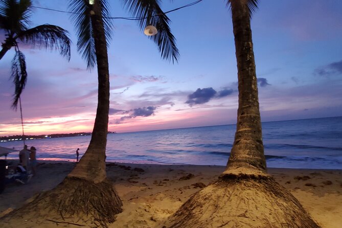Private Transfer From and to Santiago-Cabarete-Sosua-Pop - Vehicle and Amenities