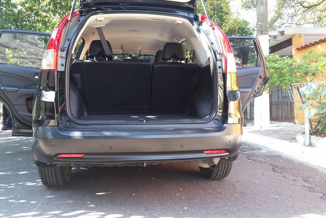 Private Transfer From Campinas Airport to São Paulo City - Expectations and Additional Info
