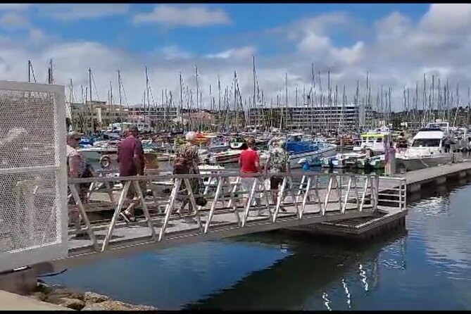 Private Transfer From Faro Airport to Albufeira - Transportation Details