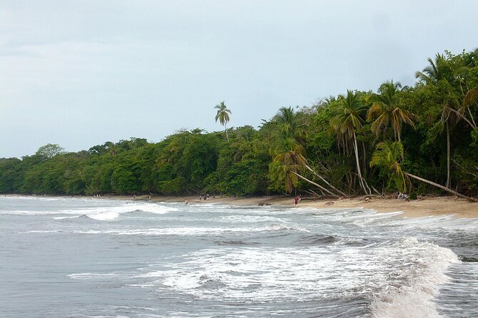 Private Transfer From San Jose Airport To Cahuita - Pickup and Dropoff Details