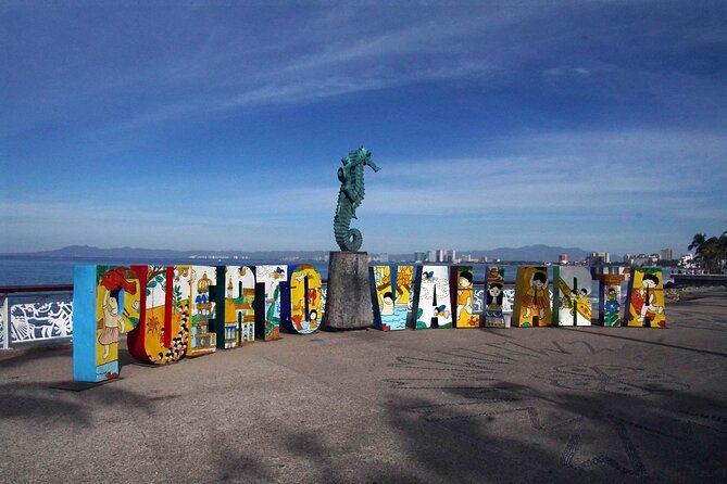Private Transportation in Puerto Vallarta - Accessibility and Amenities