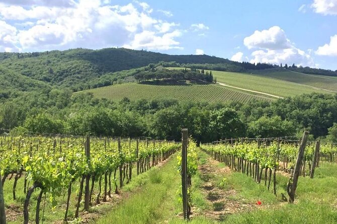 Private Tuscan Tour With Love - Savoring Local Tuscan Delights