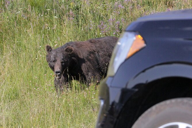 Private Upper Loop Grand Teton, Lower Loop Scenic & Wildlife 3 Day Tours - Inclusions and Amenities