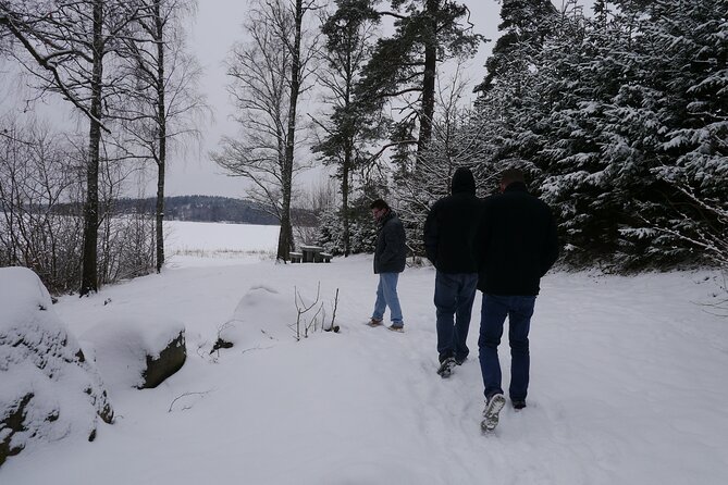 Private Viking Tour by a Lake + Swedish Nature Forest Walk, 90MIN - Meeting and Pickup