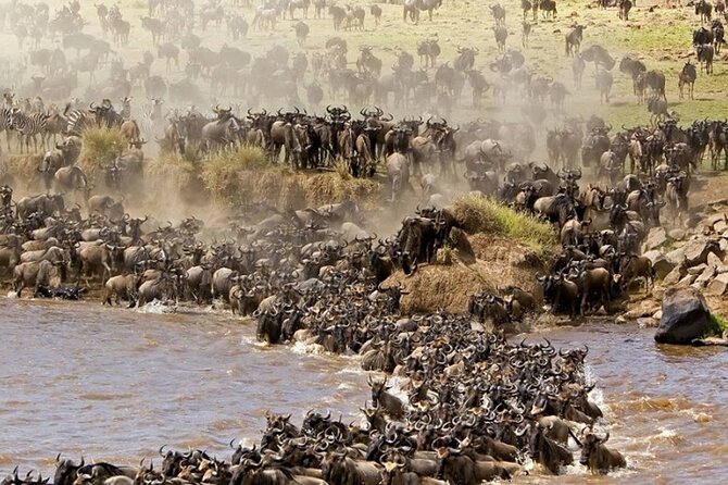 PRIVATE Wildebeest Calving Safari, Tanzania, January to March - Excursions and Activities