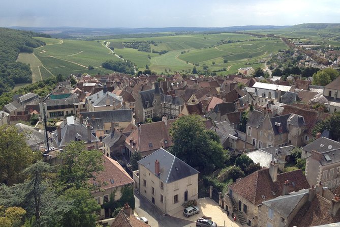 Private Wine & Cheese Tour to Loire Valley Vineyards From Paris - Savoring French Wine and Cheese Pairings