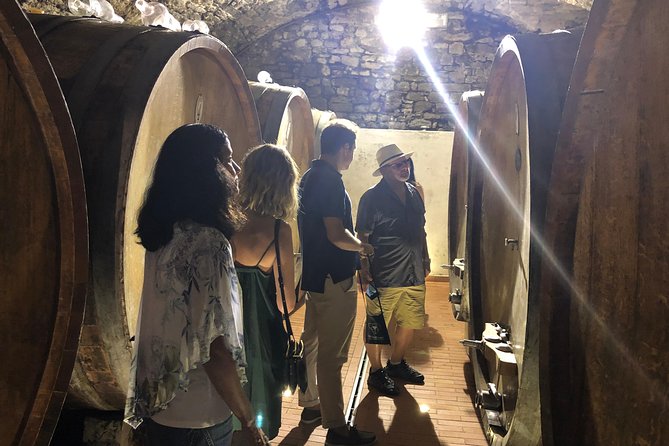 Private Wine Tour of Chianti - Exploring the Chianti Region