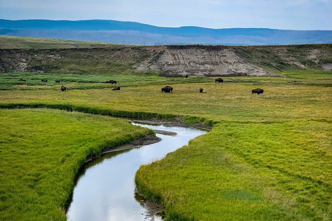 Private Yellowstone Highlights Tour - Meeting and Pickup Details