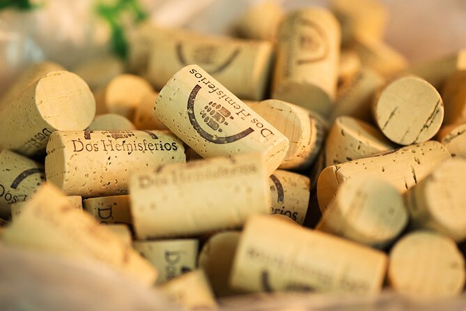 Process and Wine Tasting in Cellar Two Hemispheres - Puerto El Morro - Guided Tour and Tasting
