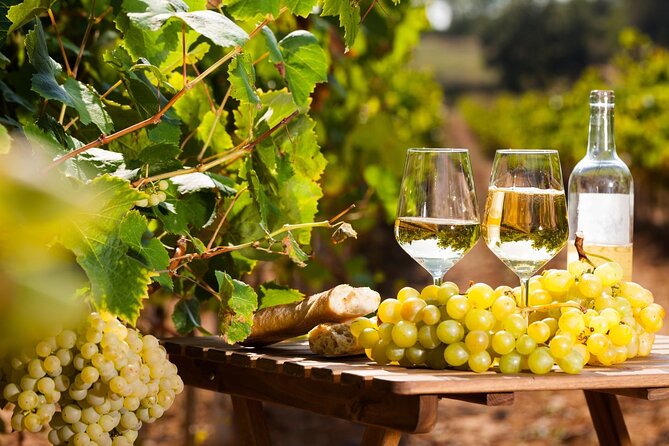 Provencal Market and Wine Tasting Full-Day Shared Tour From Nice - Cancellation Policy