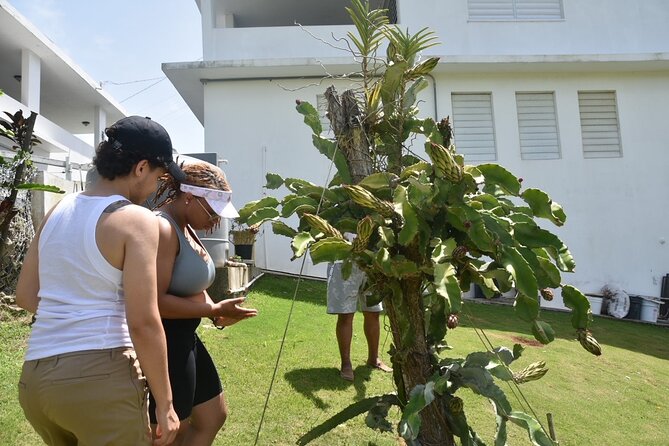 Puerto Rico Agritourism Tour - Inclusions