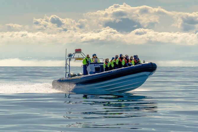 Puffin Watching Speedboat Express - Meeting Point and Check-in