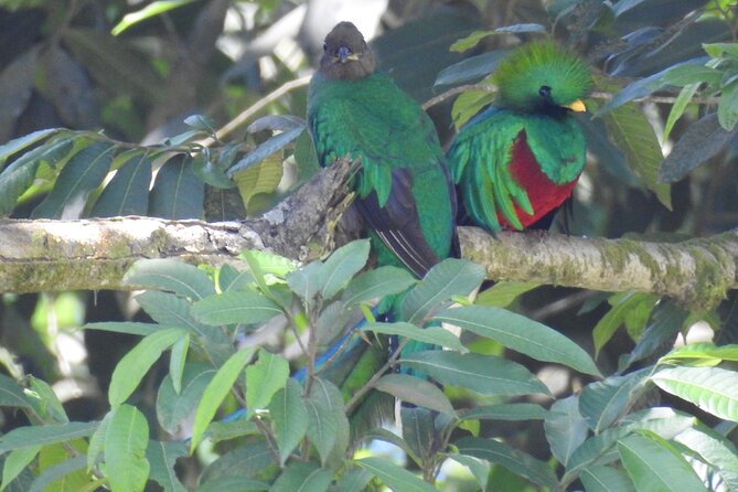 Quetzal Tour on Lake Atitlan - Included Amenities