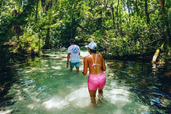 Rainbow Springs: Clear Kayak & Snorkel Eco Tour - Amenities Included