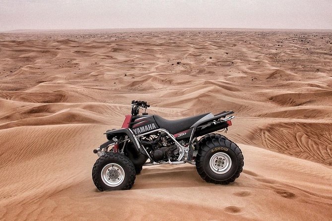Ras Al Khaimah 90 Minutes Quad Biking Tour - Experience Highlights