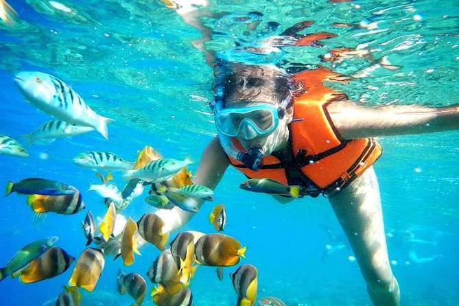 Reef Snorkeling in National Park From Cancun With Beachside Lunch - Snorkeling Experience