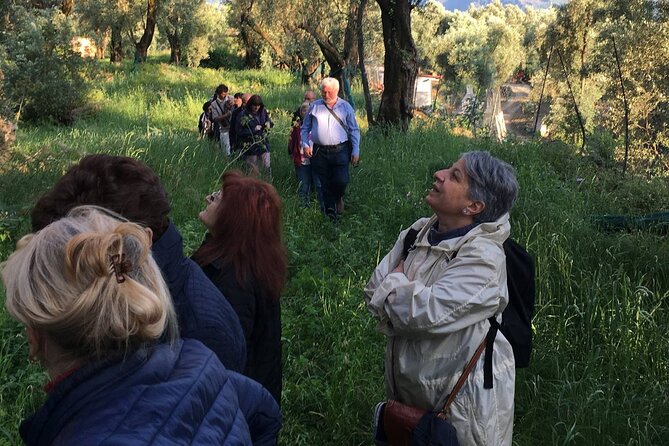 Reggio Calabria Museum and City Guide . Direct Moses - About Viator, Inc