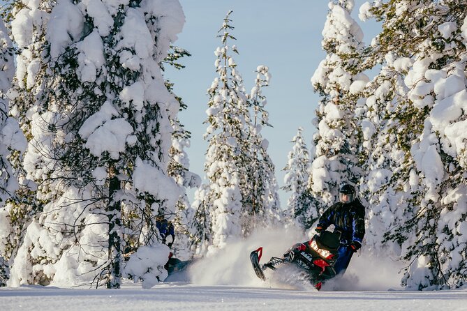 Reindeer Safari With Snowmobile and Cross the Arctic Circle Tour From Rovaniemi - Driving Requirements