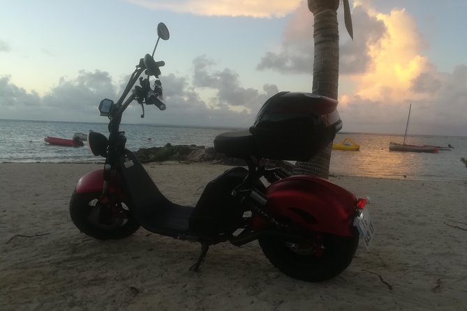 Rental of Electric Scooters - Participant Requirements