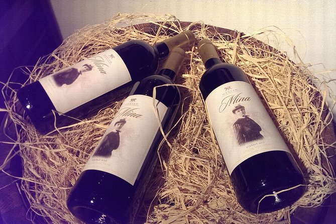 Revival Town of Elena Tour With Wine Tasting From Veliko Tarnovo - Pickup Information