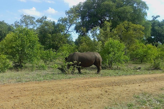 Rhino & Nature Walk in the Musiotunya National Park - Tour Logistics